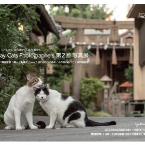 Japan Stray Cats Photographers 第2回 写真展